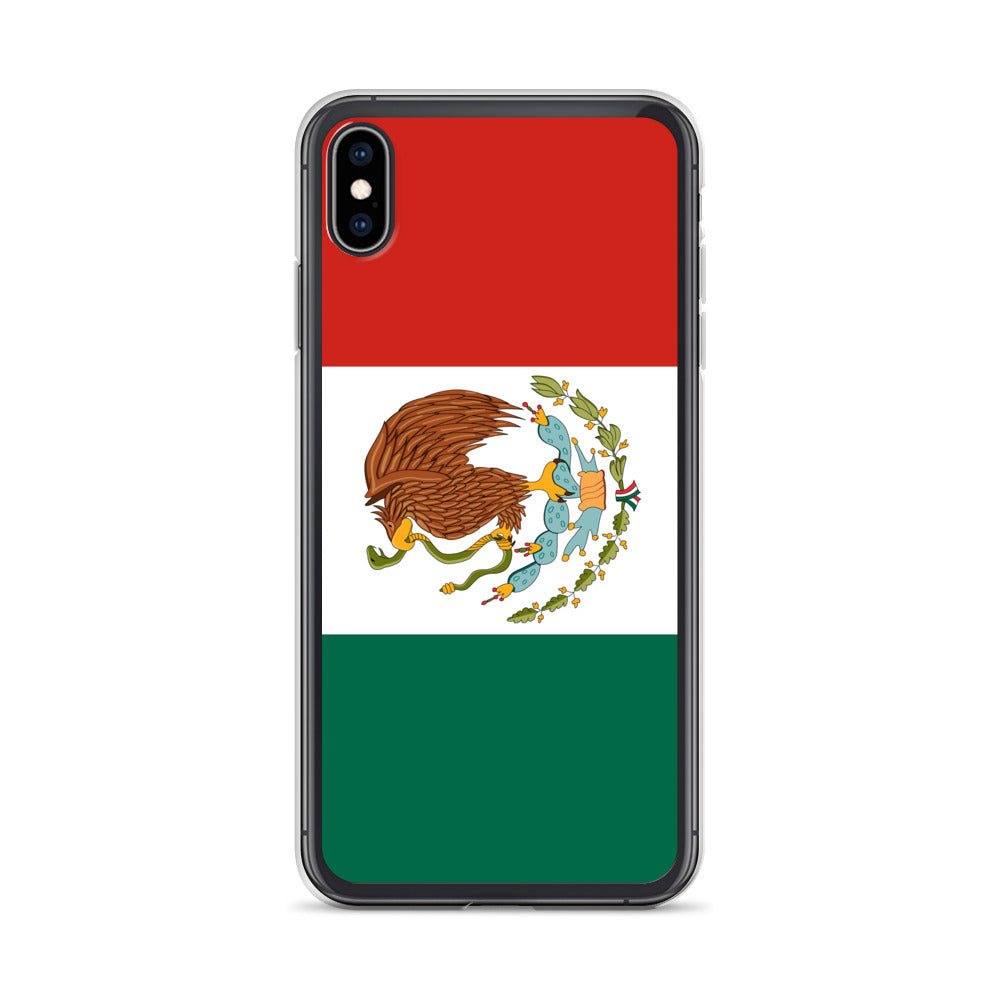 Paraguay Flag Case For iPhone 12 Pro Max 7 8 Plus X XS XR SE Cover